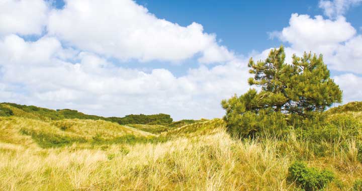 Informationen Insel Borkum 1 – 6