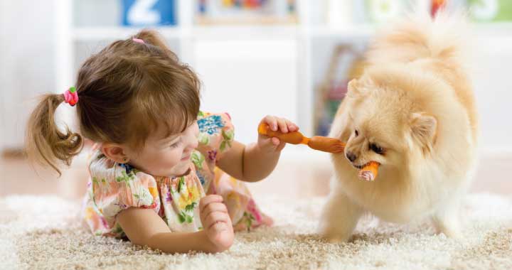 Zu den Borkum Informationen 1 — 6 Informationen Insel Borkum 1 – 6