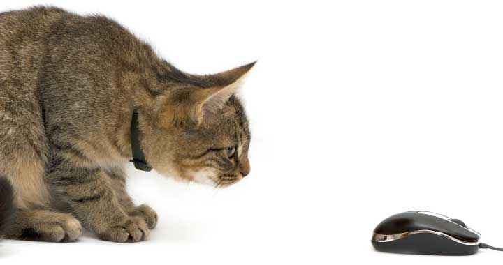 Informationen Insel Borkum 1 – 6