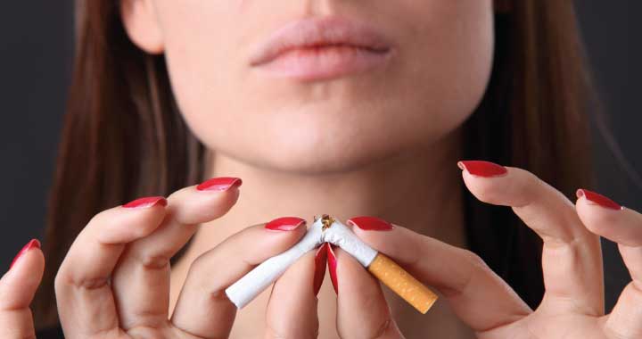 Insel Borkum Einzelhandel Insel Borkum Einzelhandel