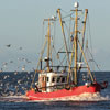 Insel Borkum Erlebnis