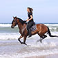 Reiten