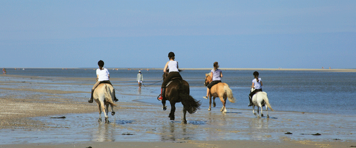 Informationen Insel Borkum 1 – 6