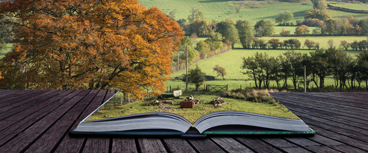 Informationen Insel Borkum 1 – 6