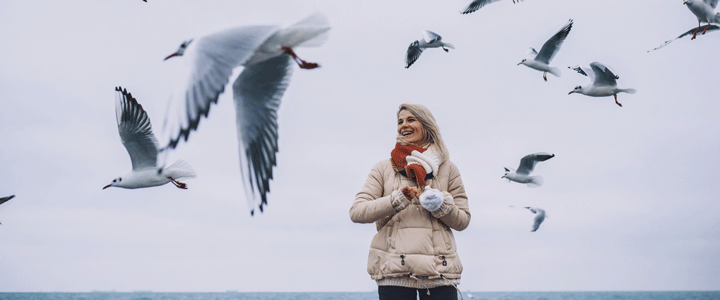 Informationen Insel Borkum 1 – 6