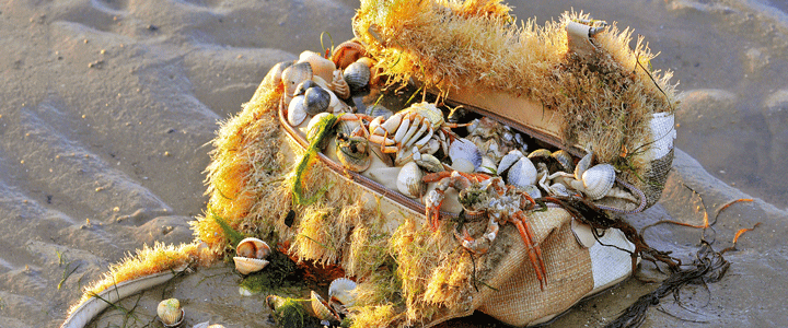 Zu den Borkum Informationen 1 — 6 Informationen Insel Borkum 1 – 6