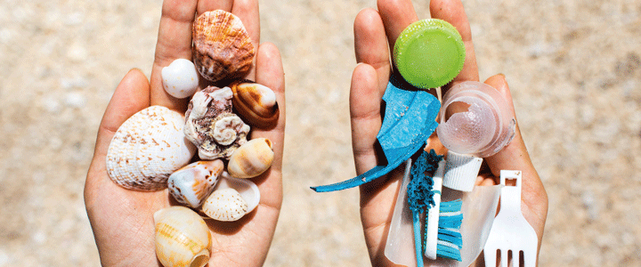 Zu den Borkum Informationen 1 — 6 Informationen Insel Borkum 1 – 6